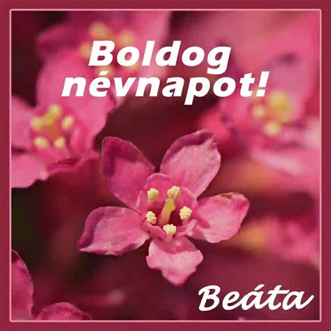 beata nevnap|Beáta névnap